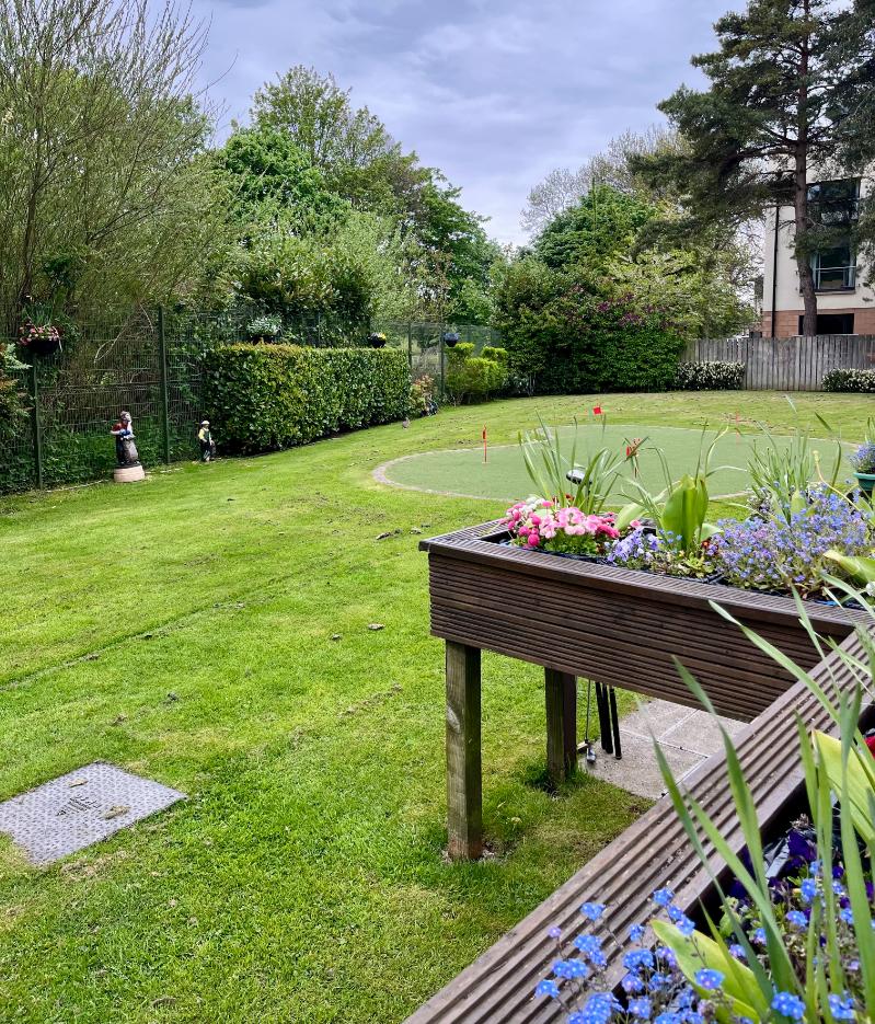 garden with raised planters and flowers