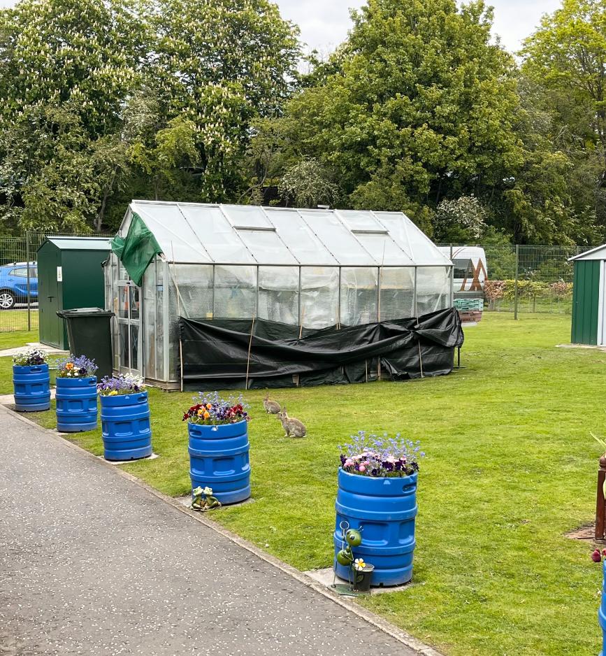 greenhouse for care home residents